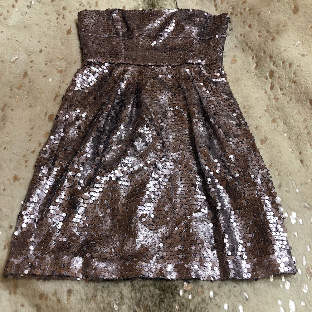 BCBG Sequin Dress